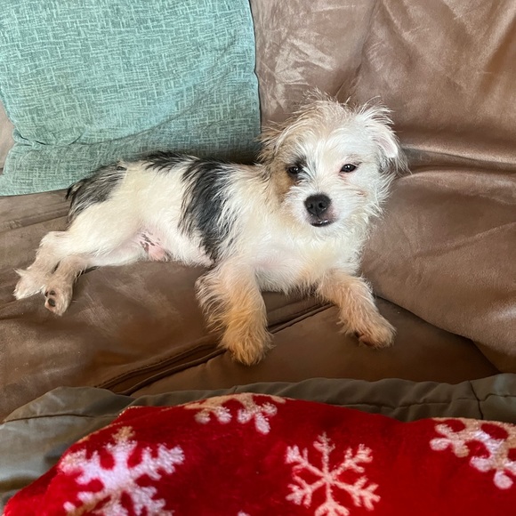 Meet your Posher, Jenny - Picture 2 of 2